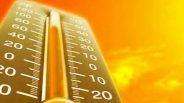 Как противостоять жаре в жаркое лето