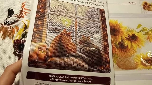 ЖАРКОЕ ЛЕТО ОТ РИОЛИС. САТСАНГ ПАВЛА КАЛЯГИНА ПРО ОСВО