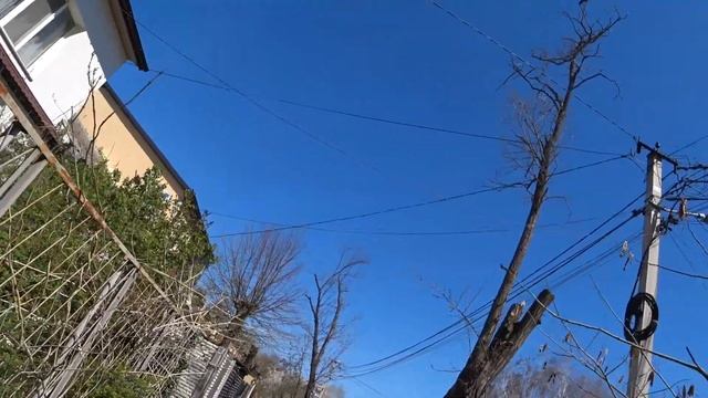 865da138031d71709d7392106400d99b