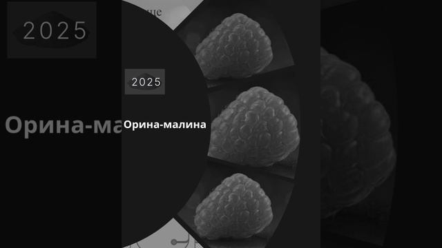 3e86e10789bf97cac634b1e6e6c0da68