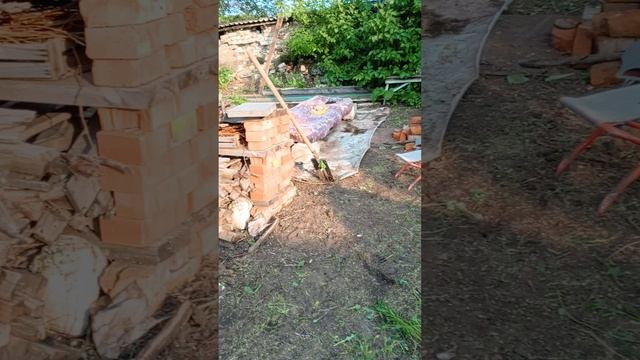 06.06.25 дача. начинаю убирать траву со двора