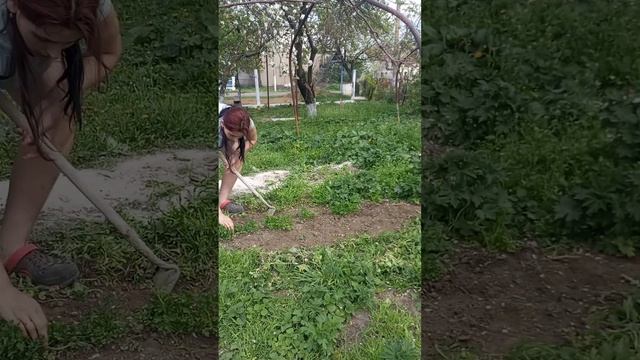 Мотивация на уборку грядки, огорода 🍀🍀🍀.