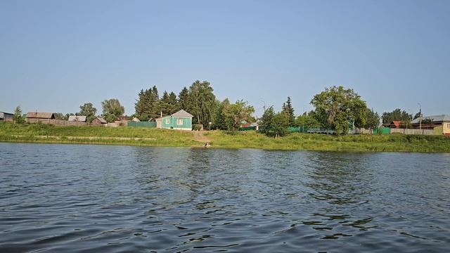 Пруд в июне 2025 года.