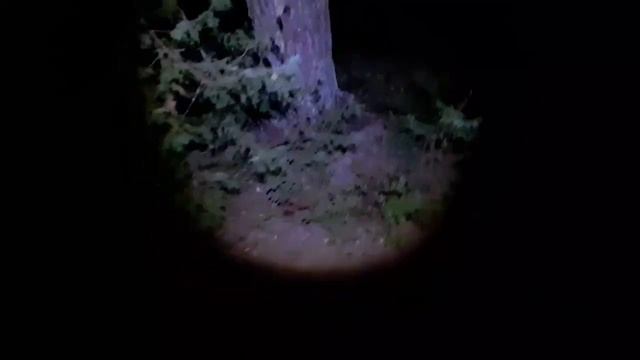 Чёрное Озеро (2021) Horror Short Film