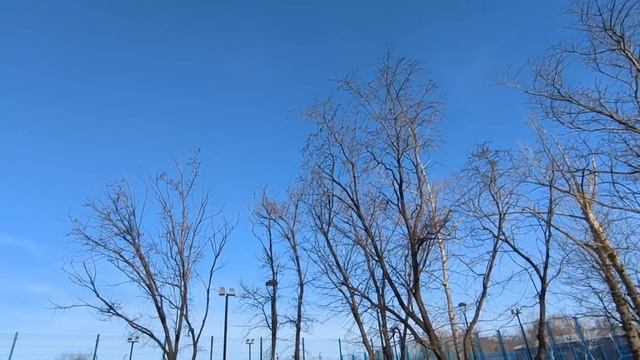 Всё лето свекровь провела на моей даче ела клубнику, с?