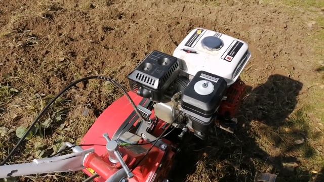 Первые проблемы с мотоблоком Мотоблок Утки Куры