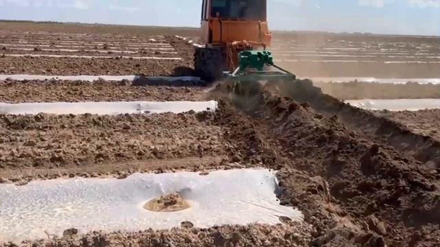 дт75 тянет глухари