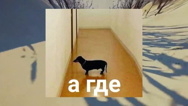 PS Portal, мусорный король портативных консолей. Обзор на P