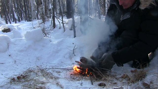 Лесное чаепитие и немного покатушки #фэтбайк #покатуш?