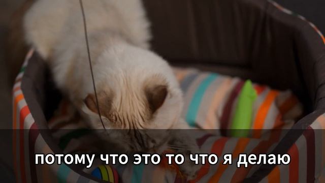 Истории измен с Reddit: На корпоративной вечеринке я вста