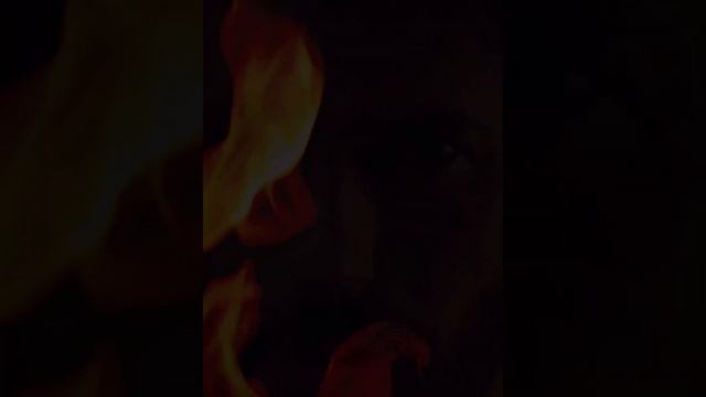 Не люби меня..Francesco_Viola#canyaman