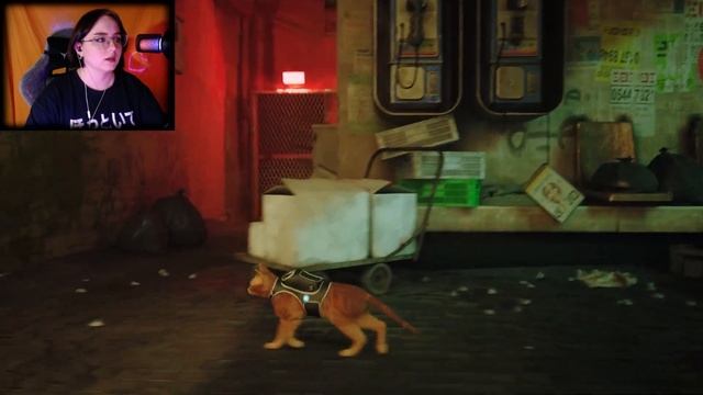 КОНЕЦ ИСТОРИИ ОДНОГО КОТЕНКА ✦ Stray #7