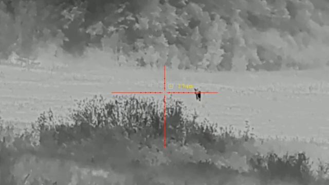 668a373b7a33ff89fbbbfdf03ad75771