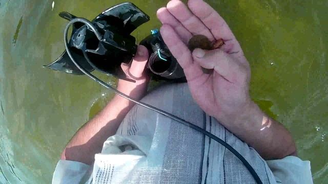 ЗОЛОТОЙ БАЧЕНОК СССР. ЗАЧЕТ