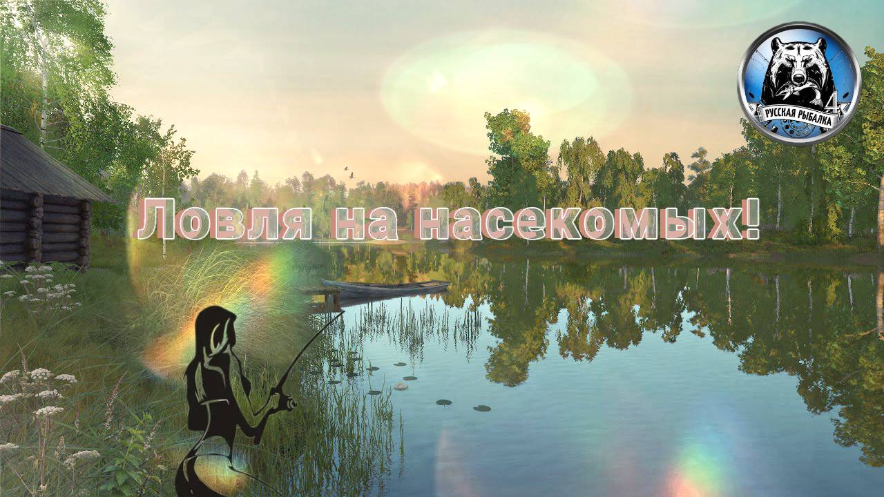 РР4 локация 