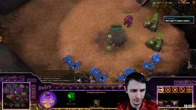 ДОБРЫЙ НИДУС ПРОТИВ НЕДОТРОГИ Starcraft 2
