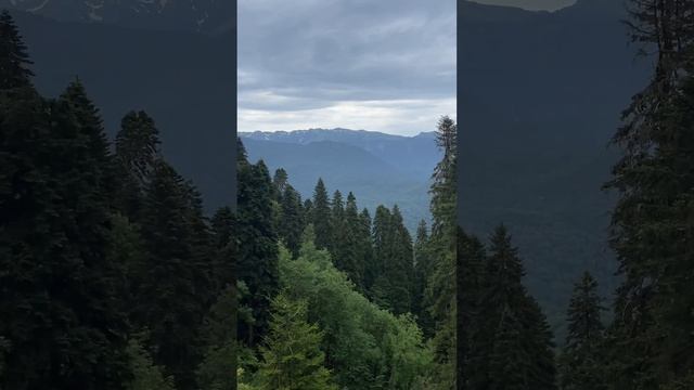 Красная поляна / Менделиха / водопад Золотой