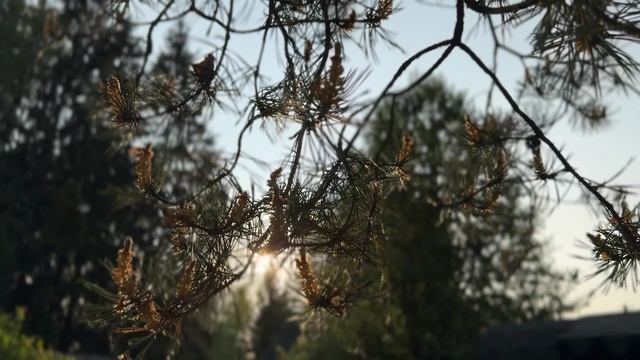 B3f5ec6a480dffe8c2a3c5858512aedb