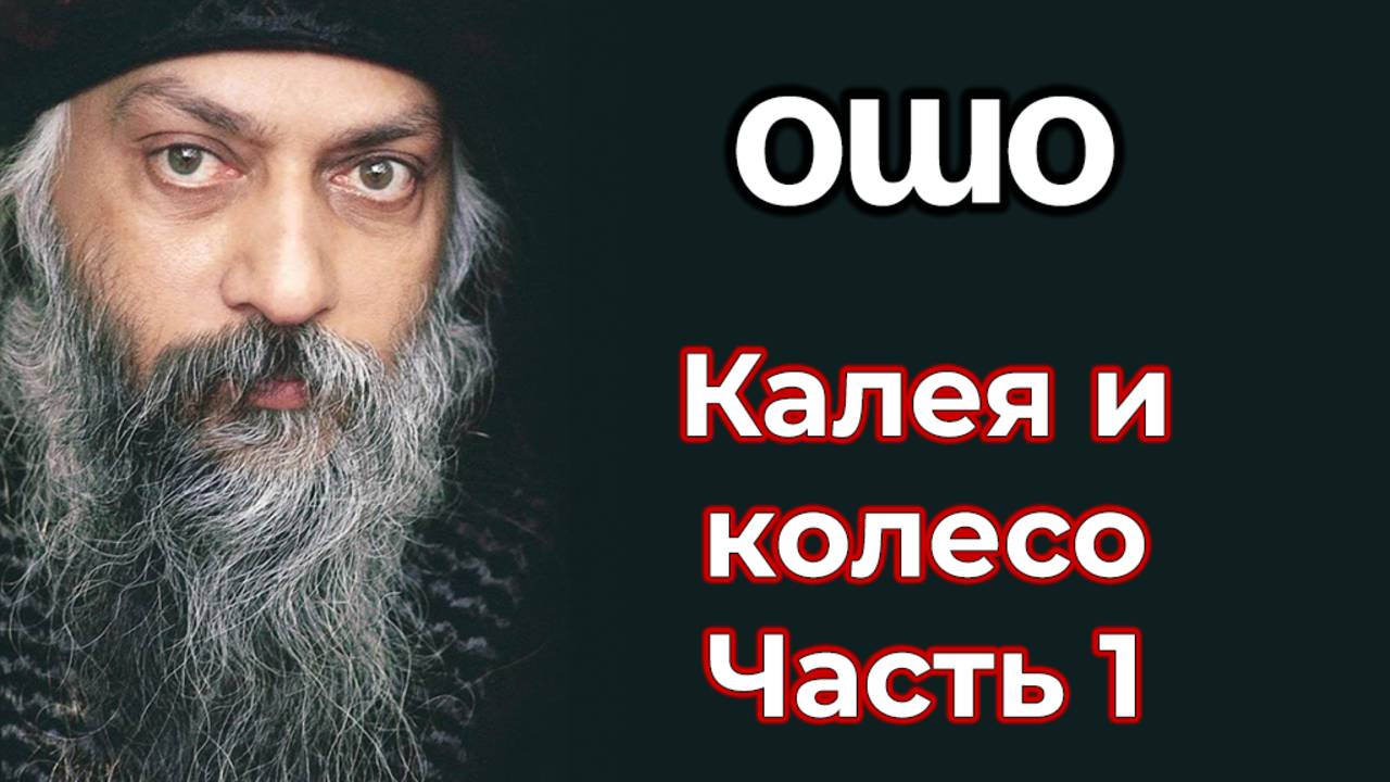 КОЛЕЯ И КОЛЕСО. ЧАСТЬ 1.ОШО