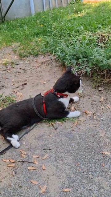 Ff3cafeb71369b262a21515ae5426fa4