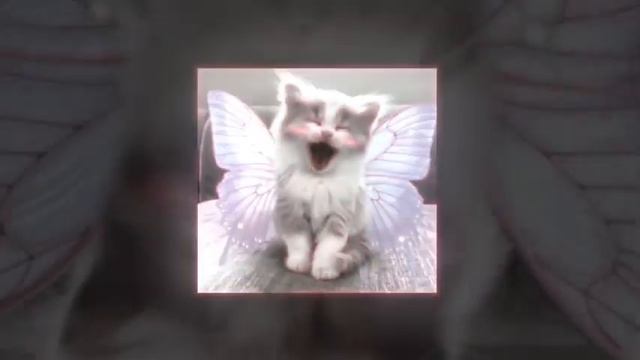 Dd2b96041da2c11bacc4a0175c9a4a94