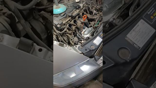 Климатический Парк