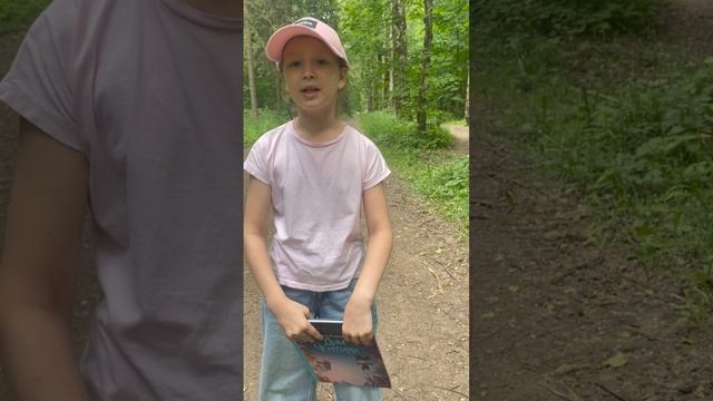 Лорена Альварес. Дом черепахи. Обзор