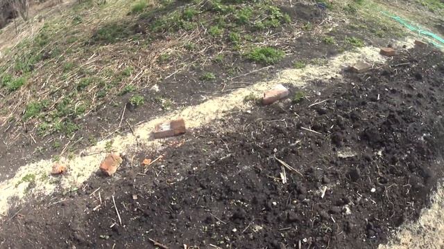 Клубничная теплая грядка