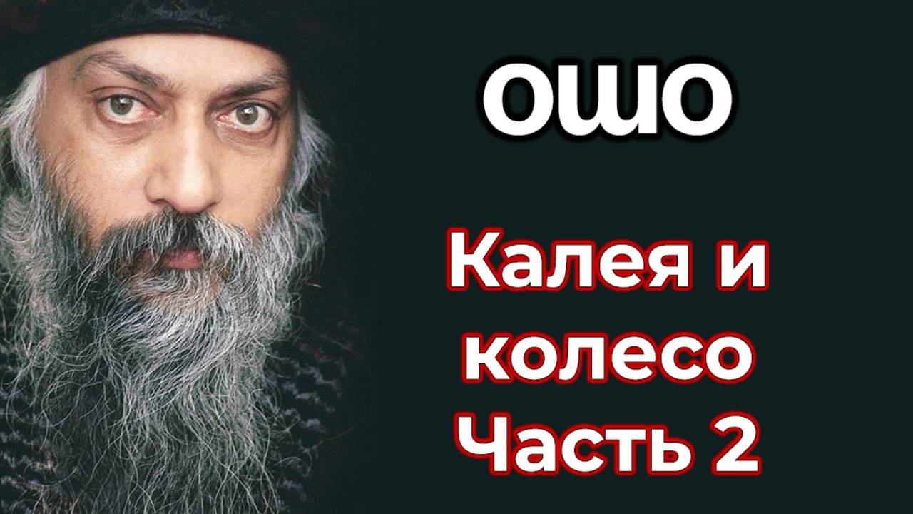 КОЛЕЯ И КОЛЕСО. ЧАСТЬ 2.ОШО
