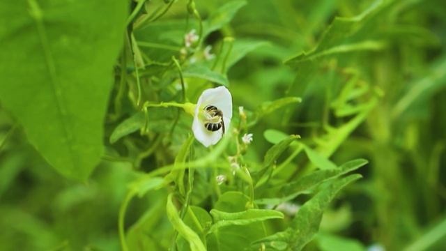 E4335f6b6c9f33c376063dde20737ec2