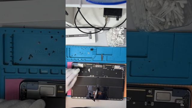 MacBook M3 разбор чистка от влаги