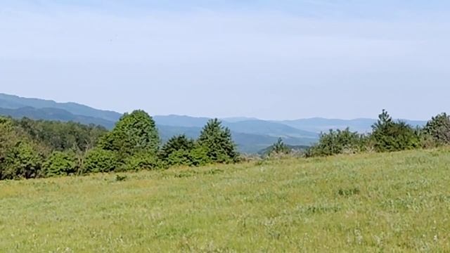 Минути сред природата. Стара планина зелена и красива