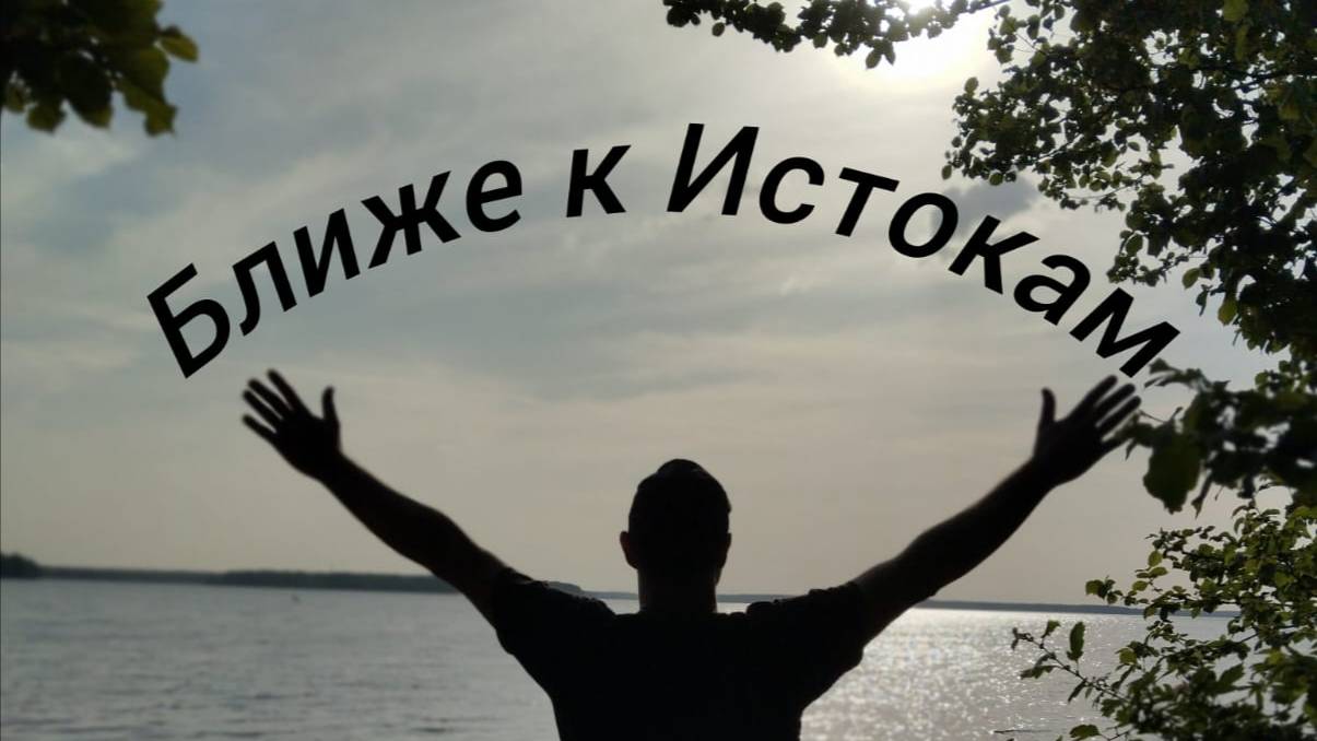 Обзор огорода