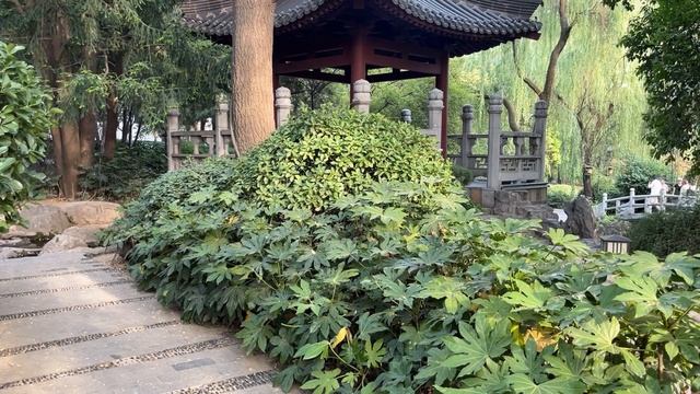 Путешествие в Китай с компанией WHIEDA
Пекин- Сиань-Тяньцзинь