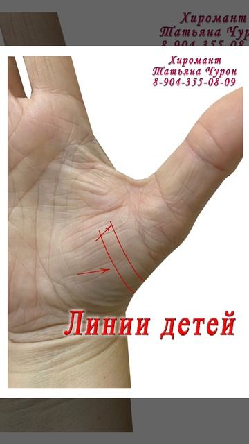 Линии детей. Холм Венеры. Хиромантия