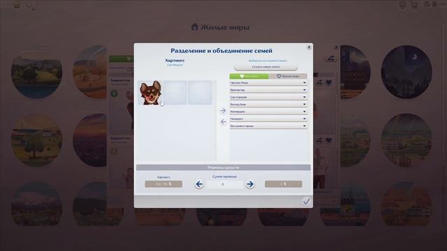 СОХРАНЕНИЕ ЗА 10 ПОКОЛЕНИЙ 🤎 Переезд и Потеря древа | Ж