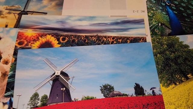 Проверка принтера Epson T50