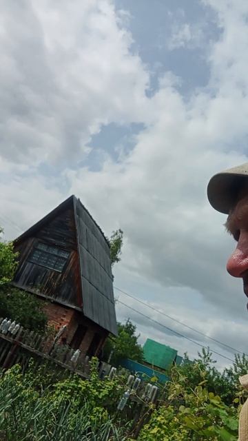 Клубника на песке.