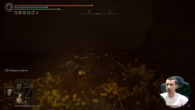 Elden Ring - Shadow Of The Erdtree ➤ Исследуем Лес Бездны ➤ #42 ➤ #eldenrin