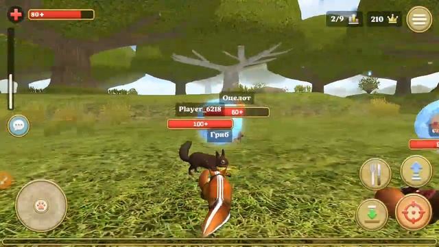 Моё первое видео с компьютера играем в симулятор белк?