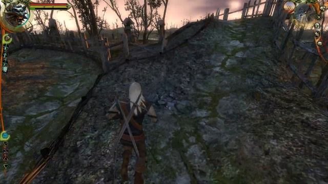 Ведьмак: Спасение Принцессы и Таинственный Камень The Wi