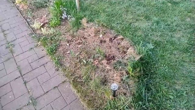 Покосили траву, підготовила грядочки для посадки😊
