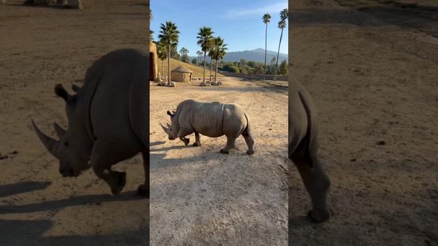 23de8e28b1b754b25d2f3eea98cc7855