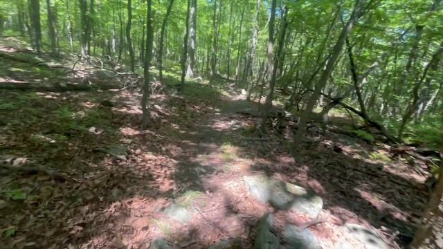 D0da3a0ba5cb0865b49f198fcaadb32b