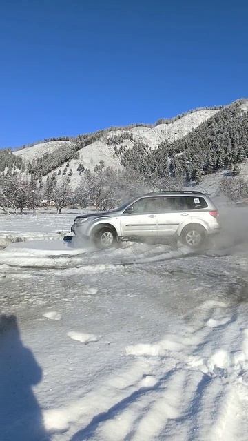 субару раздаёт.