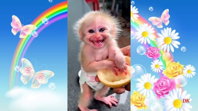 2995ddd21dbc686114df5a6e44e48696