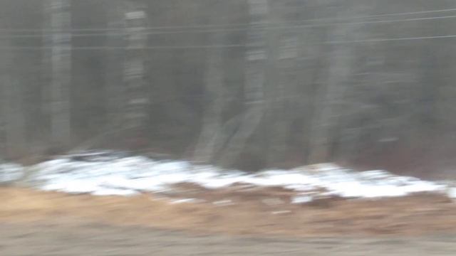 33e276209983eb57bd2d1028b2de8f4f