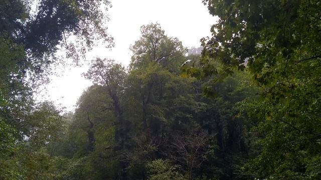 Абхазия. Каньон Хашупсе. Is This The Most Breathtaking River Gorge You Have Eve