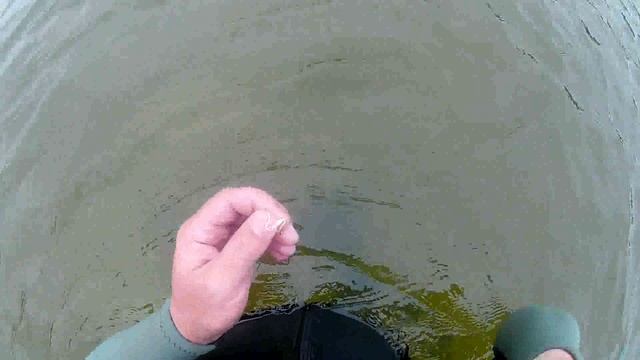 ЗОЛОТОЕ КОЛЕЧКО НАЙДЕНОЕ ПОД ВОДОЙ С МЕТАЛЛОИСКАТЕЛЕМ ЛЕГЕНДА