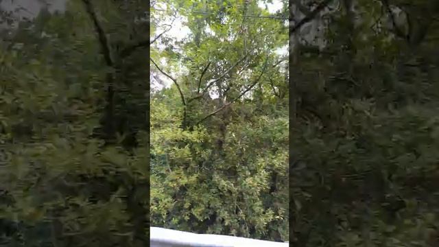 29/03/2022 Fast Camera / Càmara Rápida / กล้องเร็ว / быстрая камер?